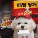 돌콩해물쟁반짜장 이미지