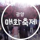 네비마켓 광양점 | 광양매화축제 꿀팁 대방출 / 전남 봄 축제 /내돈내산