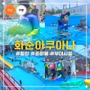 화순 금호 아쿠아나 할인 준비물 렌탈요금 총정리 금호리조트 후기