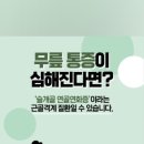 서울 튼튼 연합의원 이미지