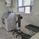 마이펫 강아지유치원 이미지