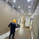 더조은방역