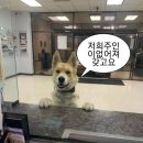 오늘은육회내일은연어 이미지