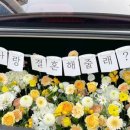 벨르플라워