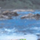 주식회사 청해산업 이미지