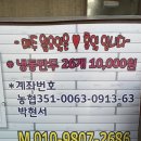 황홀한수제찐빵만두