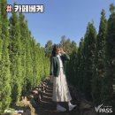 메종 드 마농 | [주간 챌린지]를 빙자한 제주 여행 후기 中