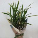 회덕으뜸주유소 이미지