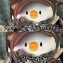 청주 오송 왁싱 풋 스케일링 / 엘앤제이왁싱 레푸스 충북오송점