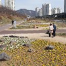 천본 이미지