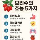 전통과일