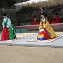 춘앵전 Daum카페