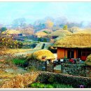초가마을 Daum카페