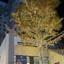 청아온천 | 대전 유성 온천공원 근처 분위기 좋은 술집 추천 봉명동 1984술마시는 작업실 방문 후기