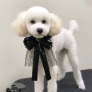 바르다 펫 부산센텀점 이미지