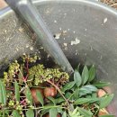 산책하는요양원 이미지