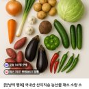알뜰야채