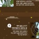 매미 꿈, 매미 울음소리가 들리는 꿈, 매미 잡는 꿈 이미지