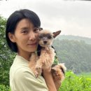 (학교)경포여중 이미지