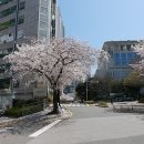 부산 여행 코스 부산 차이나타운 맛집 신발원 만두 원향재 간짜장