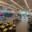 피트니스넘버원 이미지