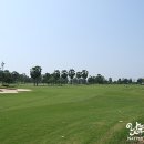 세인트그린