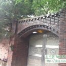 신덕4호 이미지