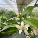 생규농장 이미지