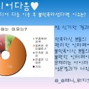 미디어팟 Daum카페