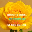 명동4길 이미지