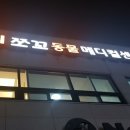 쪼꼬동물메디컬센터 이미지