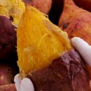 경일농장 이미지