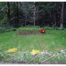 러시아의 아버지, 톨스토이 이미지