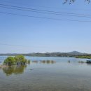 오리장식당 이미지