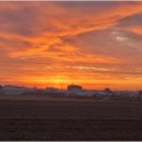 나무홈케어