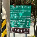 남해가는길펜션 | 남해 가성비 감성 숙소 고운재 한옥펜션 오션뷰 주목 (가는길 주의,찐 솔직후기)
