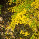 문경예송원 이미지