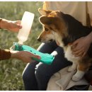 라파엘 동물병원 이미지