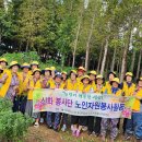 신화봉사단 '신화마을 가꾸기' 구슬땀 이미지