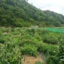 순서농장 이미지