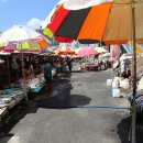 자갈치시장 이미지