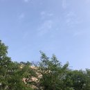 세무회계주영 | 7월 6일 ~ 7월 12일 | 바쁘게 살다가 친구 만나는 일상