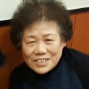 대저중앙초등학교 이미지