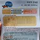 스킨앤이어동물병원 | 스킨앤이어 동물병원 송파 강아지 피부과 귀, 알러지, 피부전문 병원