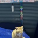 애경농수산