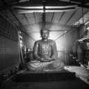 Screen English(영화) 이미지