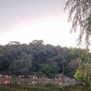 물빛한의원 | 창경궁 야간개장 물빛연화 상영