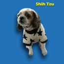 요셉동물병원 이미지