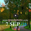 [0907'25] O 가을 길 이미지