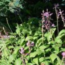 금암저수지 이미지